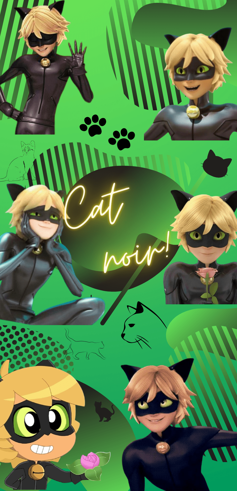 Cat Noir Wallpaper HD - IXpaper