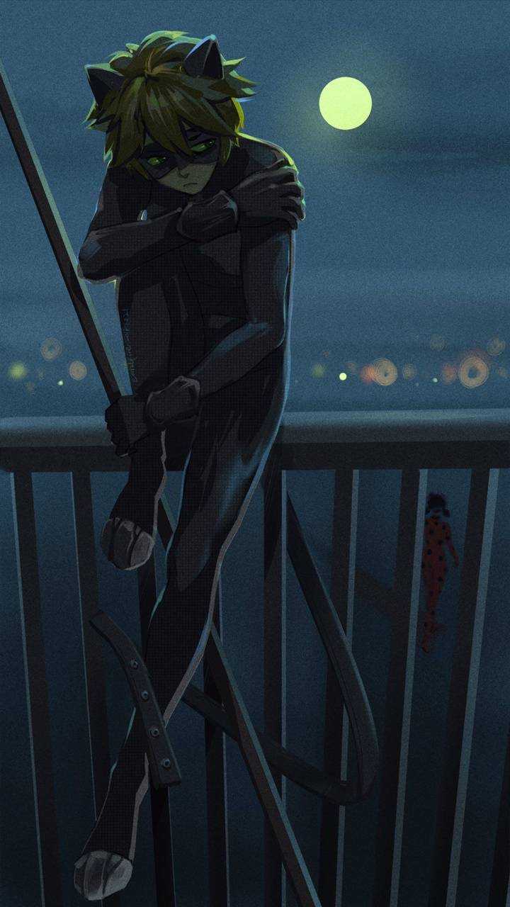 Cat Noir Wallpaper Phone - IXpaper