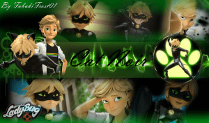 Cat Noir Desktop Wallpaper 1080p