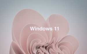 Windows 11 Desktop Wallpaper
