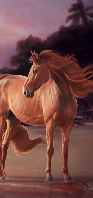 Horse Wallpaper