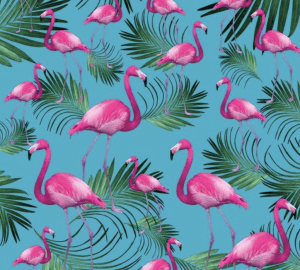 Flamingo iPad Wallpaper