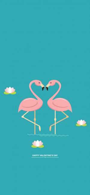 Flamingo HD Wallpaper