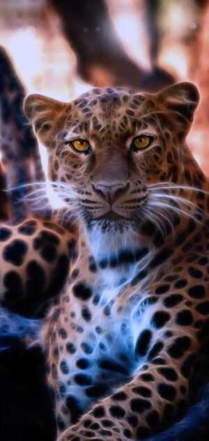 Leopard Wallpaper