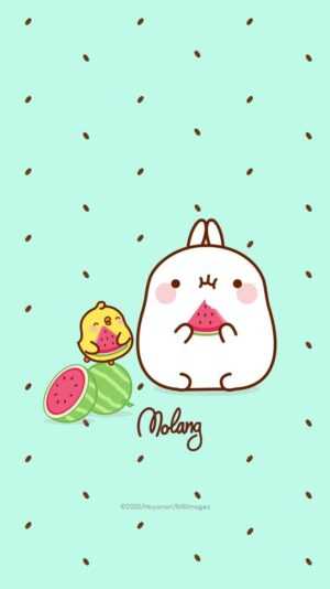 Molang Wallpaper