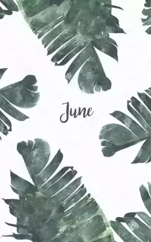 June Wallpaper
