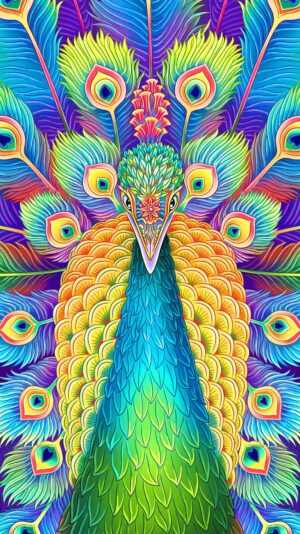 Peacock Wallpaper