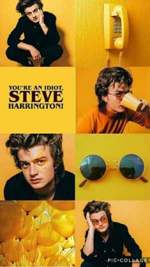 Steve Harrington Wallpaper