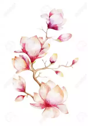 Watercolor Wallpaper