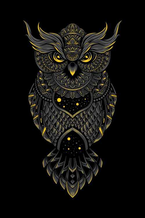 Owl Wallpaper - IXpaper