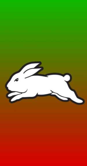 Rabbitohs Wallpaper