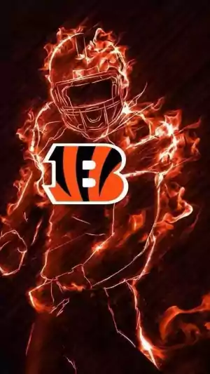 Bengals Wallpaper