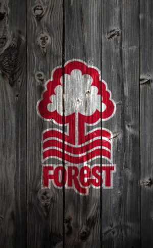 Nottingham Forest Wallpaper