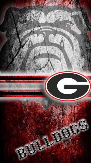 Georgia Bulldogs Wallpaper