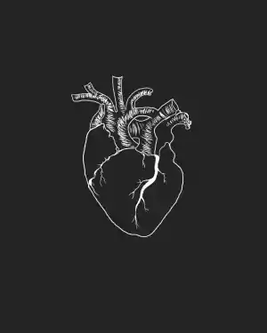 Heart Anatomy Wallpaper