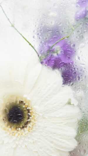 Wet Flower Under Glass Wallpaper