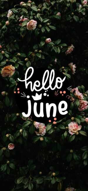 Hello June Wallpaper