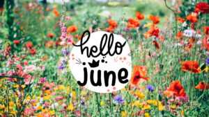 Hello June Wallpaper