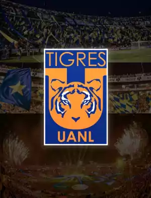 Tigres Wallpaper