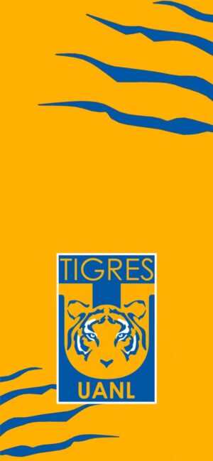 Tigres Wallpaper