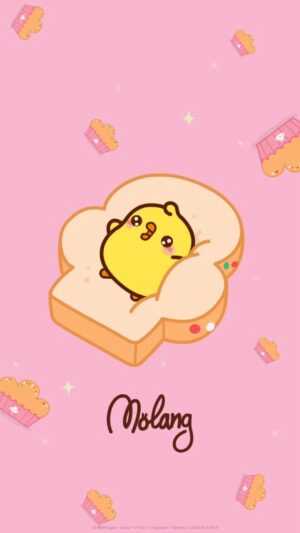 Molang Wallpaper