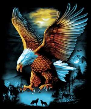 Background Eagles Wallpaper